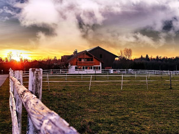 Finca en exhibición para la venta